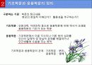 기초학문과 응용학문의 정의, 불평등 사례, 신자유주의 비판, 이론의 시각, 갈등이론의 시각, 해결방안, 특징, 역할, 시사점해석적 이해와 이념형 10페이지
