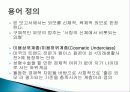 외모로 인한 사회 불평등 현상, 전개 과정, 특징, 불평등 현상 분석, 불평등 고착화, 정당화, 특징, 현황, 조사분석 6페이지