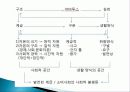 외모로 인한 사회 불평등 현상, 전개 과정, 특징, 불평등 현상 분석, 불평등 고착화, 정당화, 특징, 현황, 조사분석 20페이지