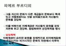 외모로 인한 사회 불평등 현상, 전개 과정, 특징, 불평등 현상 분석, 불평등 고착화, 정당화, 특징, 현황, 조사분석 21페이지