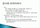 전자 감시 사회, 프라이버시, 정보기술발달, 감시의 특성 변화, 정보사회의 소비자 감시, 분석, 특징, 현황, 조사분석 2페이지