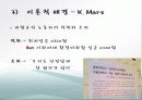 대학내 비정규직 실태, 현황, 타 학교 비정규직 사례, 비정규직 노동자 보호를 위한 제도적 과제, 전략, 변화, 특징, 현황, 관리, 역할, 기법, 시사점, 해결방 7페이지
