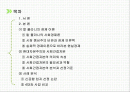 사회간접자본 의미, 필요성, 특징, 역할, 분석, 선정 기준, 칼 폴라니의 경제이론, 신공항 입지 선정 사례, 4대강 사례, 현황, 관리, 역할, 시사점, 나의견해 조사분석 2페이지