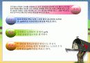은퇴 교사의 자원봉사와 무학 노인을 위한 검정고시 프로그램 - 끝나지 않은 나의 꿈 5페이지