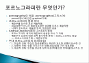 포르노그라피 개념, 종류, 특징, 역사, 포르노, 강간신화, 외설, 검열, 다양한 견해, 페미니즘의 시각, 시사점, 나의견해, 조사분석 2페이지