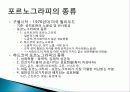 포르노그라피 개념, 종류, 특징, 역사, 포르노, 강간신화, 외설, 검열, 다양한 견해, 페미니즘의 시각, 시사점, 나의견해, 조사분석 3페이지