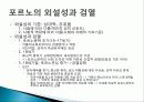 포르노그라피 개념, 종류, 특징, 역사, 포르노, 강간신화, 외설, 검열, 다양한 견해, 페미니즘의 시각, 시사점, 나의견해, 조사분석 6페이지