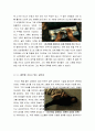 [영화감상문] (최신A+) 노인을 위한 나라는 없다 (No Country For Old Men) [분석적영화감상문][노인을위한나라는없다 영화감상문][노인을위한나라는없다 감상문][영화 노인을 위한 나라는 없다]  4페이지