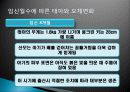 임신(증상, 태아 모체변화, 산모관리)에 대해  14페이지