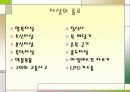 자살의 원인 실태 및 예방, 진단 해결 방안 5페이지