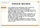 [세계의 문화] 우즈베키스탄에 대해서 11페이지
