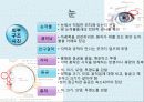 간호학 - 건강사정(학령전기 아동) 11페이지