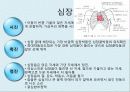간호학 - 건강사정(학령전기 아동) 21페이지
