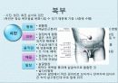 간호학 - 건강사정(학령전기 아동) 22페이지