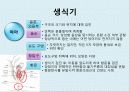 간호학 - 건강사정(학령전기 아동) 25페이지
