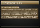 북한의 체재 변화, 김정은 후계 과정, 남북한 관계, 전망, 특징, 현황, 역할, 시사점, 나의견해, 총체적 조사분석 6페이지