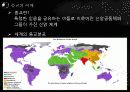 종교와 국제관계, 종교의 이해, 기능, 종교 분쟁, 영향, 역할, 시사점, 총체적 조사분석 3페이지
