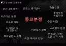 종교와 국제관계, 종교의 이해, 기능, 종교 분쟁, 영향, 역할, 시사점, 총체적 조사분석 9페이지