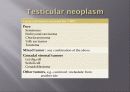 고환암 Testicular cancer 5페이지