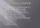 고환암 Testicular cancer 7페이지