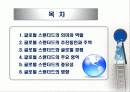 글로벌 스탠더드와 글로벌 경쟁 2페이지