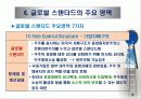 글로벌 스탠더드와 글로벌 경쟁 14페이지