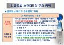 글로벌 스탠더드와 글로벌 경쟁 15페이지