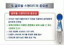 글로벌 스탠더드와 글로벌 경쟁 24페이지