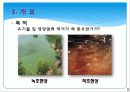 활성 슬러지법 5페이지