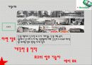 하이네켄의 국가별 광고 전략 6페이지