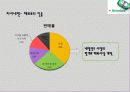하이네켄의 국가별 광고 전략 12페이지