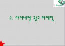 하이네켄의 국가별 광고 전략 13페이지