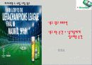 하이네켄의 국가별 광고 전략 24페이지