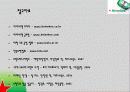 하이네켄의 국가별 광고 전략 29페이지