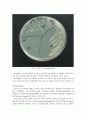 [생물학 실험] Blood Cell Counting and Coagulation 3페이지