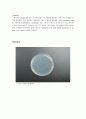 [생물학 실험] Blood Cell Counting and Coagulation 5페이지