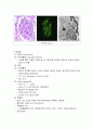 신증후군(콩팥증후군) 6페이지