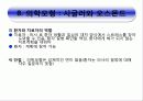 정신간호의 이론적 모형 20페이지