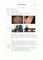 오이 관찰 일지 1페이지