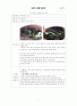 오이 관찰 일지 4페이지