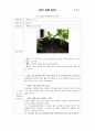 오이 관찰 일지 7페이지
