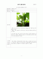 오이 관찰 일지 9페이지