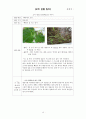 오이 관찰 일지 15페이지