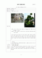 오이 관찰 일지 18페이지
