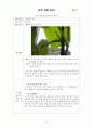 오이 관찰 일지 20페이지