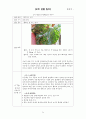 오이 관찰 일지 21페이지