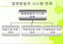 국내 코제너레이션 발표 4페이지
