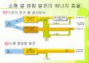 국내 코제너레이션 발표 12페이지