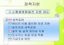 국내 코제너레이션 발표 17페이지