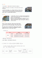 국내의 코제너레이션 10페이지